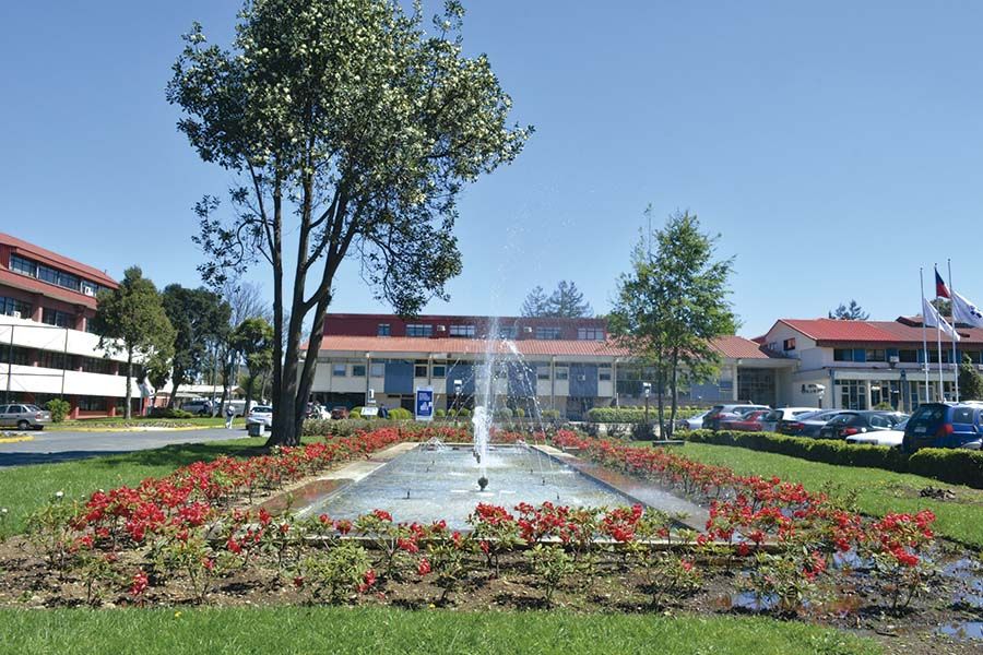 UFRO se adjudica tres proyectos Anillo