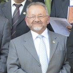 Manuel Jesús Villarroel Moreno